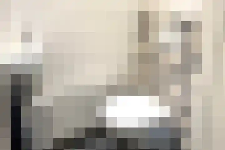 Rijnzichtweg 29 Oegstgeest thumbnail 8