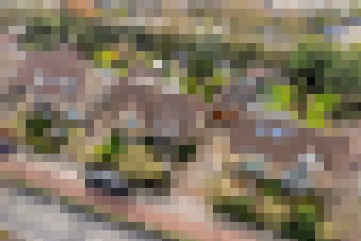 Rijnzichtweg 55 Oegstgeest