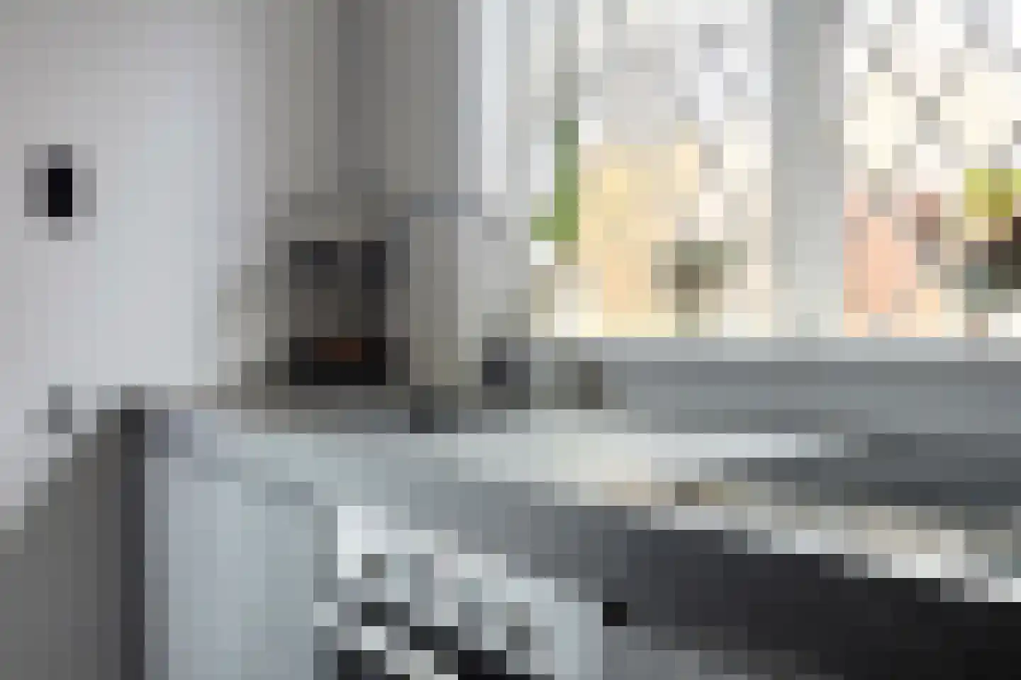 Rijnzichtweg 55 Oegstgeest thumbnail 13