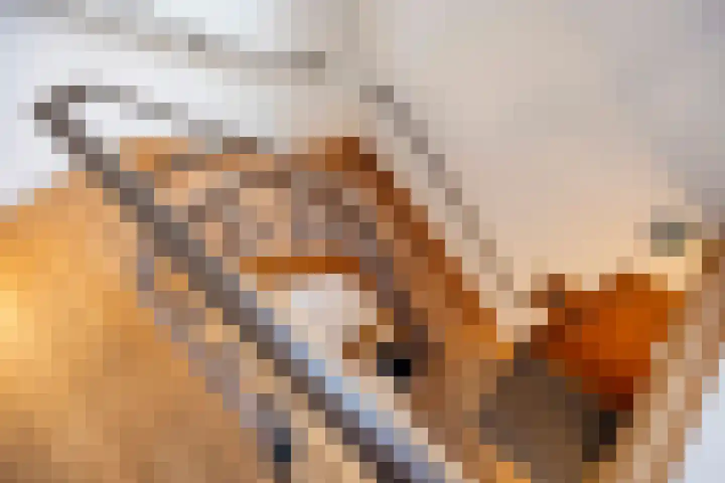 Rijnzichtweg 55 Oegstgeest thumbnail 20
