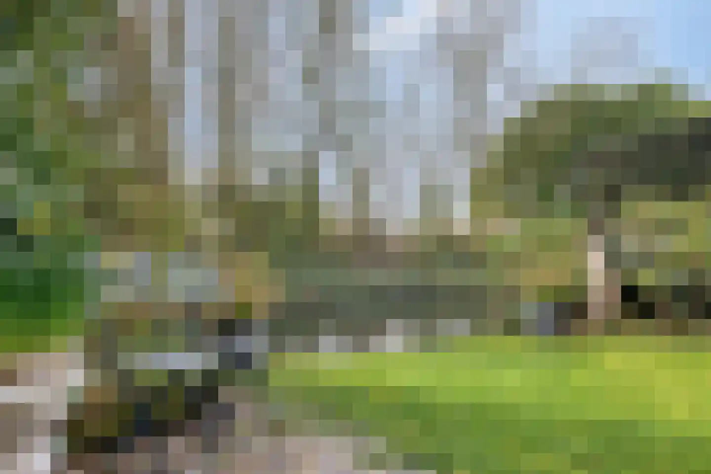 Rijnzichtweg 55 Oegstgeest foto 3