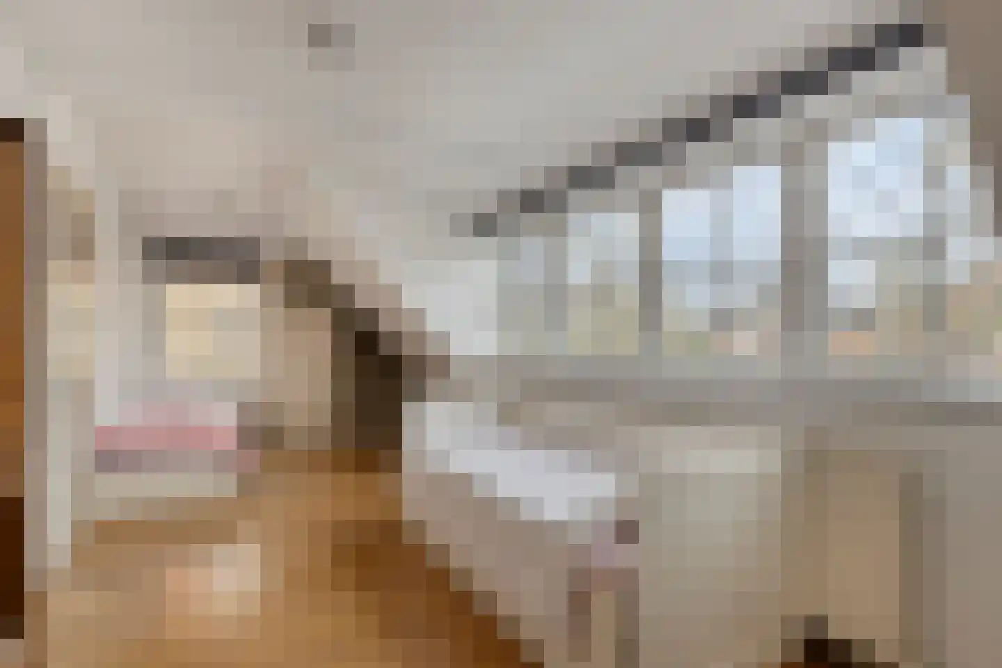 Rijnzichtweg 55 Oegstgeest thumbnail 30