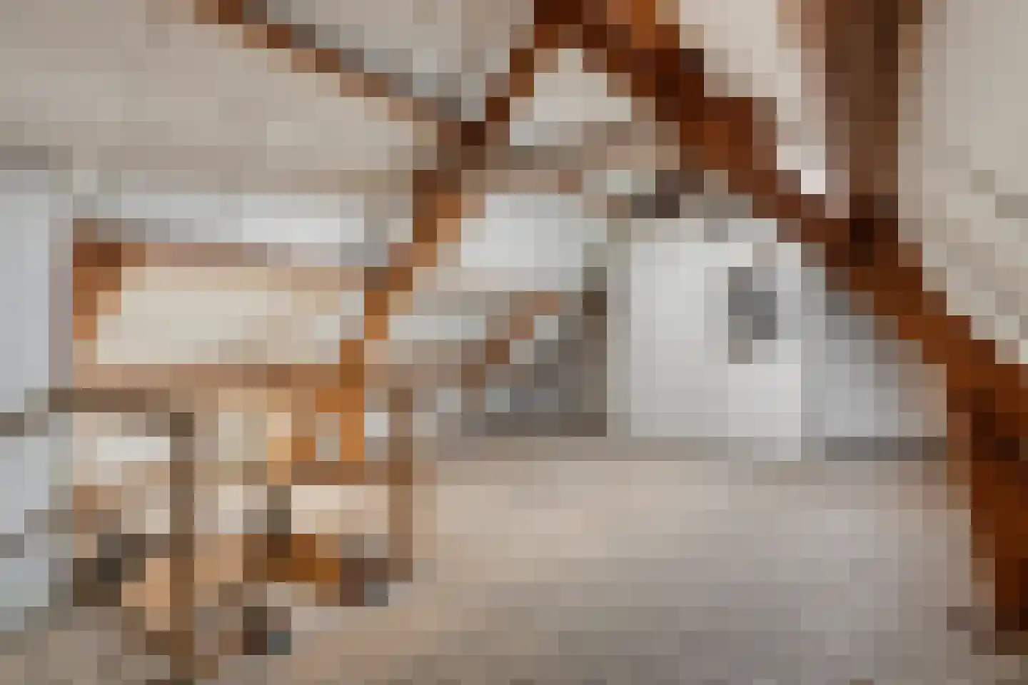 Rijnzichtweg 55 Oegstgeest thumbnail 35