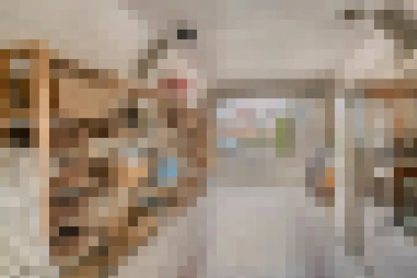 Rijnzichtweg 55 Oegstgeest thumbnail 39