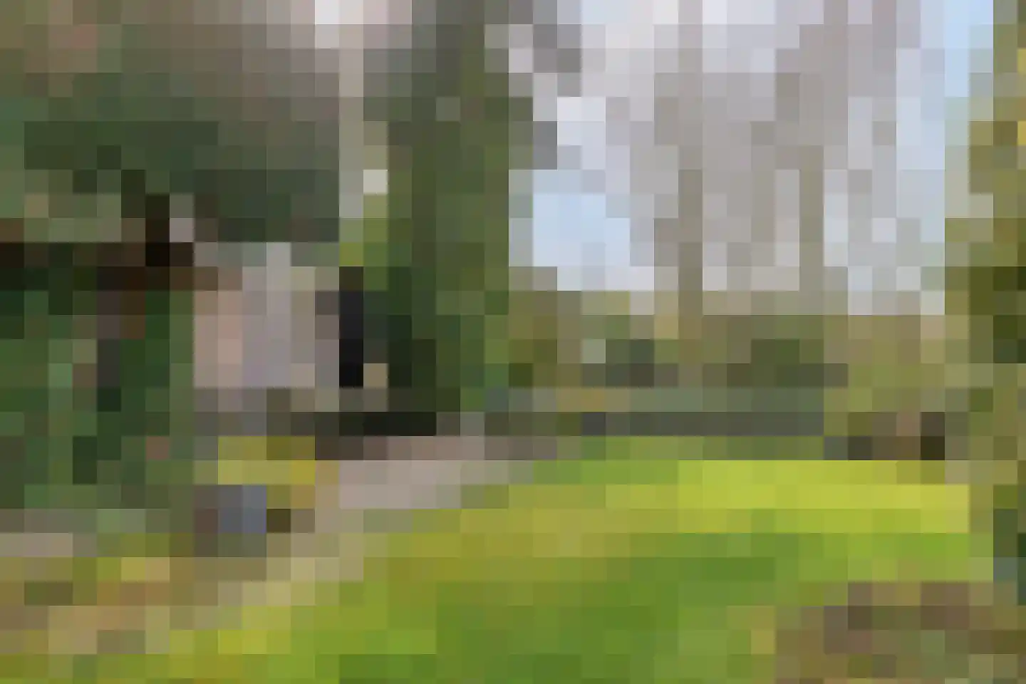 Rijnzichtweg 55 Oegstgeest thumbnail 41