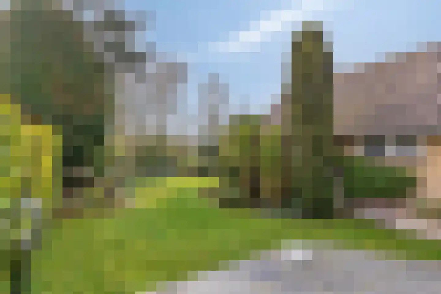Rijnzichtweg 55 Oegstgeest thumbnail 43