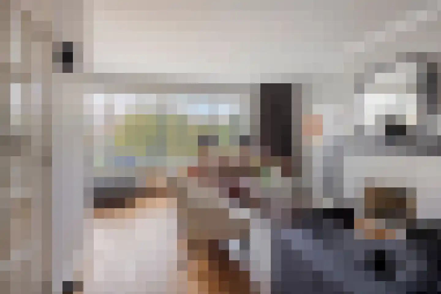 Rijnzichtweg 55 Oegstgeest thumbnail 7