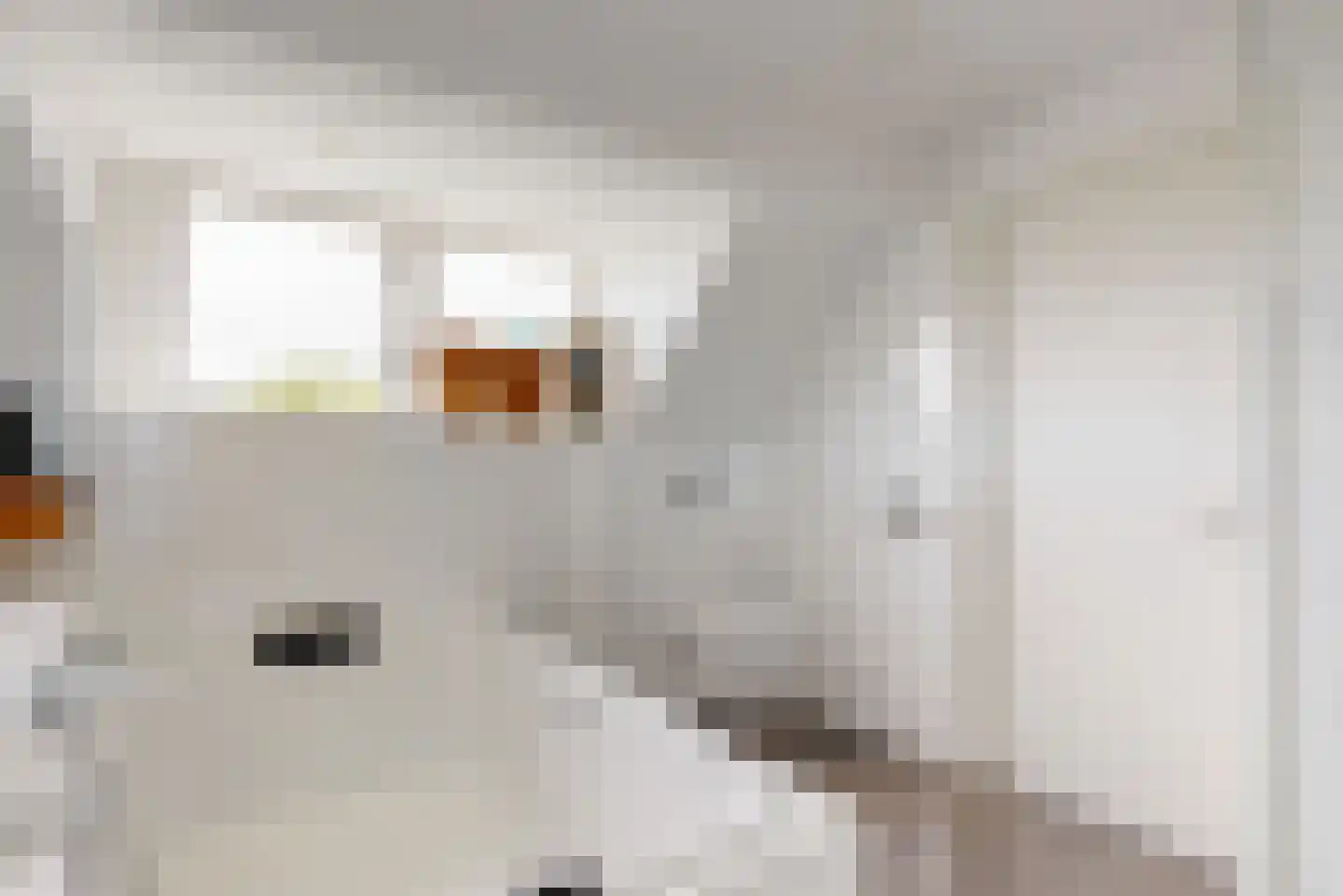 Rijnzichtweg 56 Oegstgeest thumbnail 33
