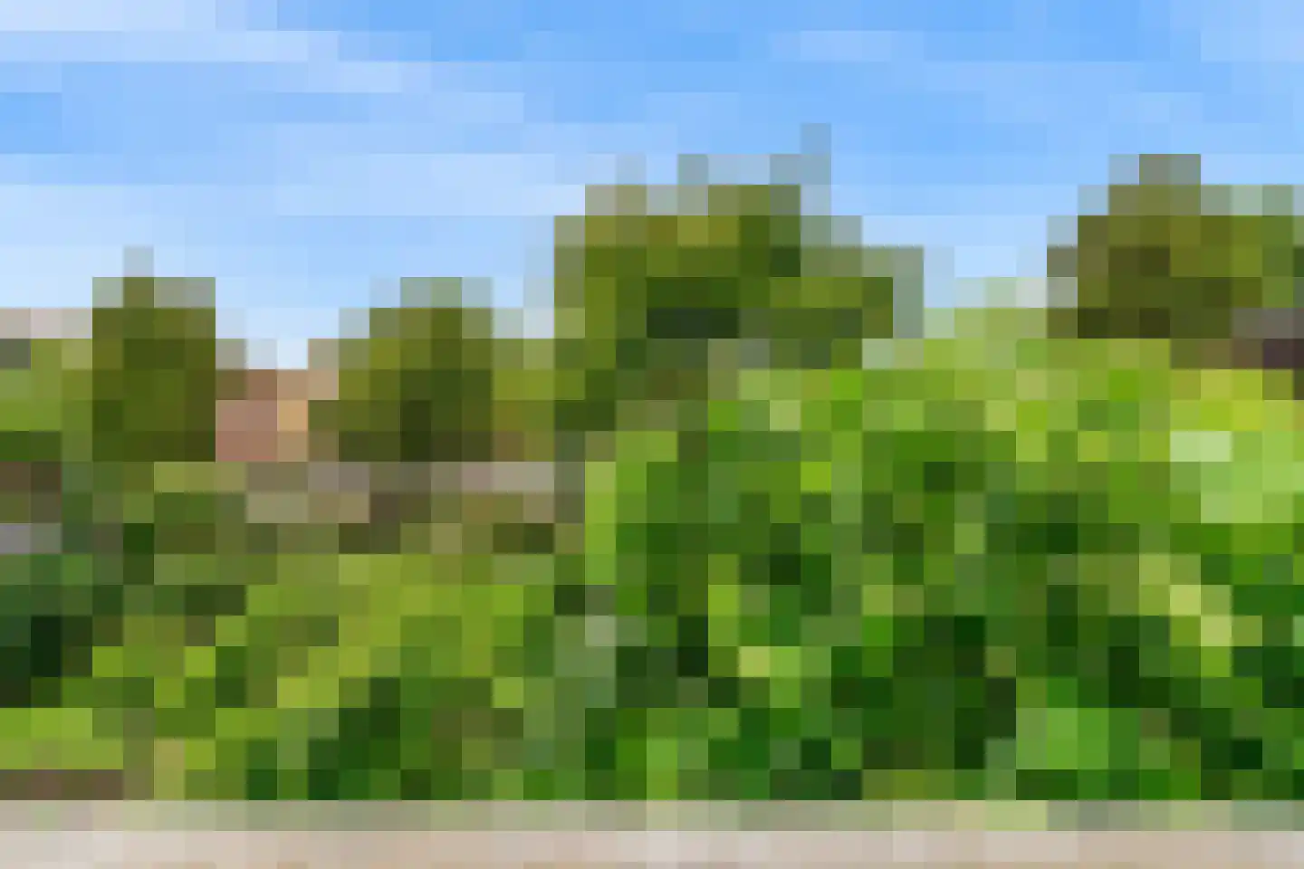 Rijnzichtweg 56 Oegstgeest thumbnail 42