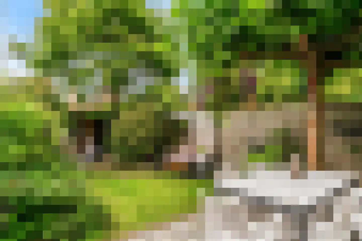 Rijnzichtweg 56 Oegstgeest thumbnail 43