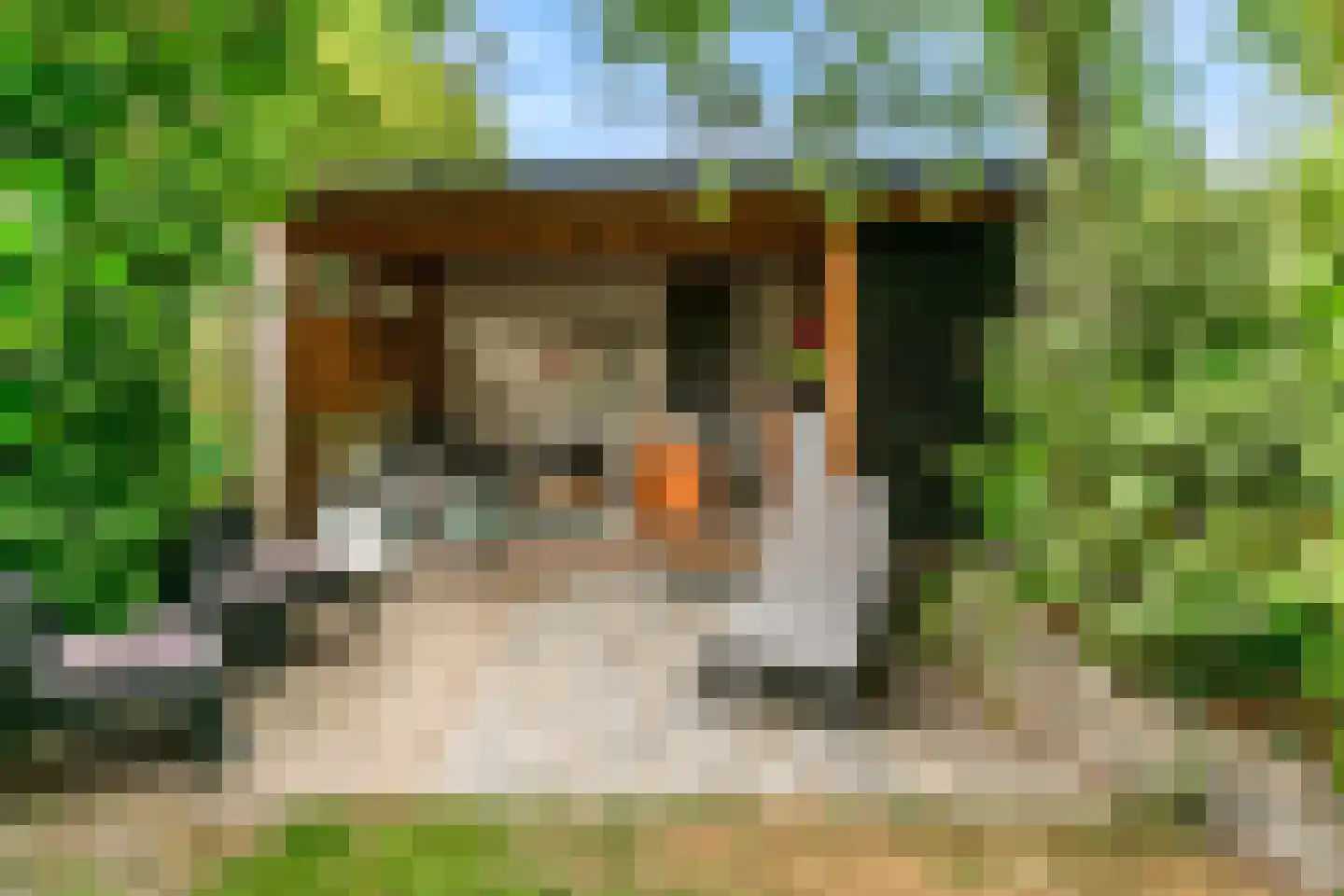 Rijnzichtweg 56 Oegstgeest thumbnail 45