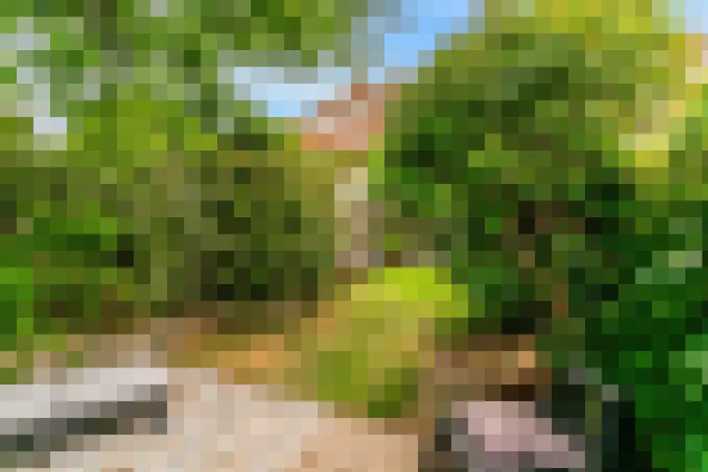 Rijnzichtweg 56 Oegstgeest thumbnail 48