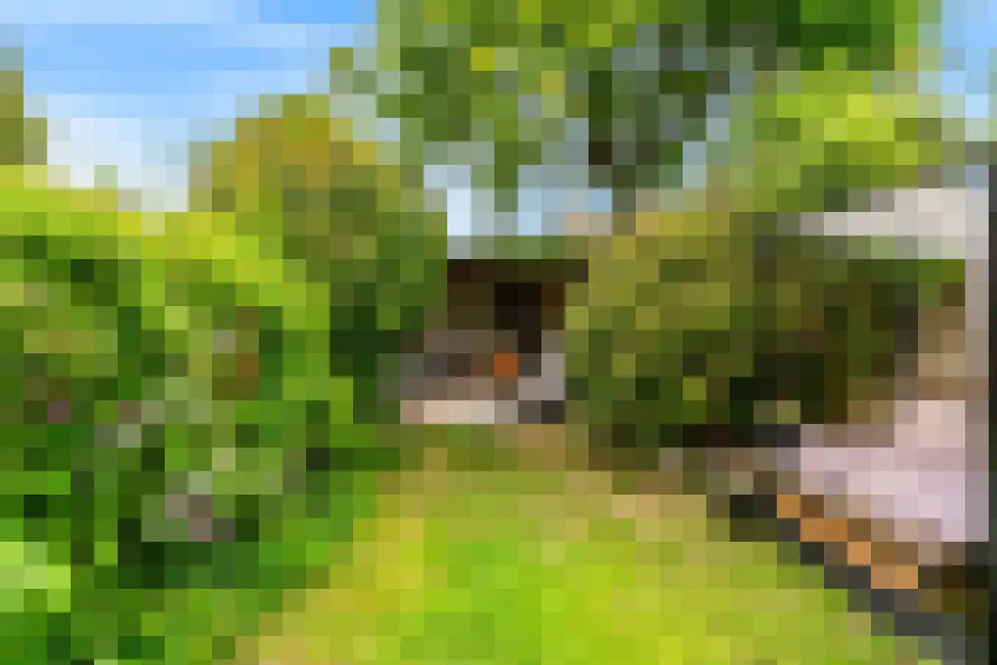 Rijnzichtweg 56 Oegstgeest thumbnail 49