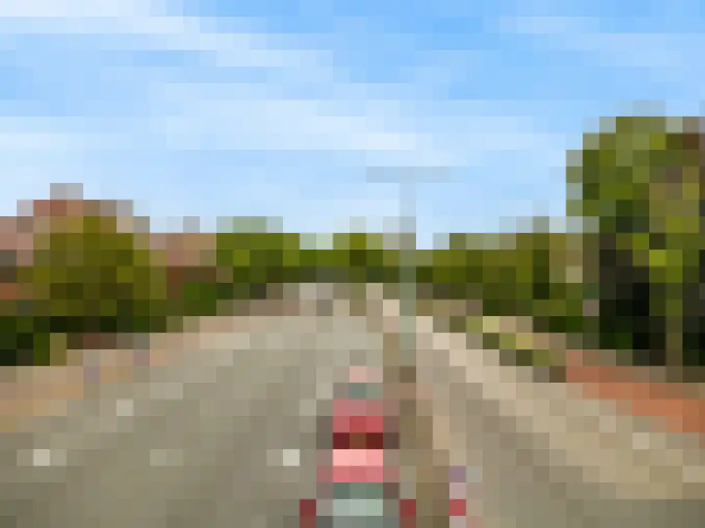 Rijnzichtweg 56 Oegstgeest thumbnail 54