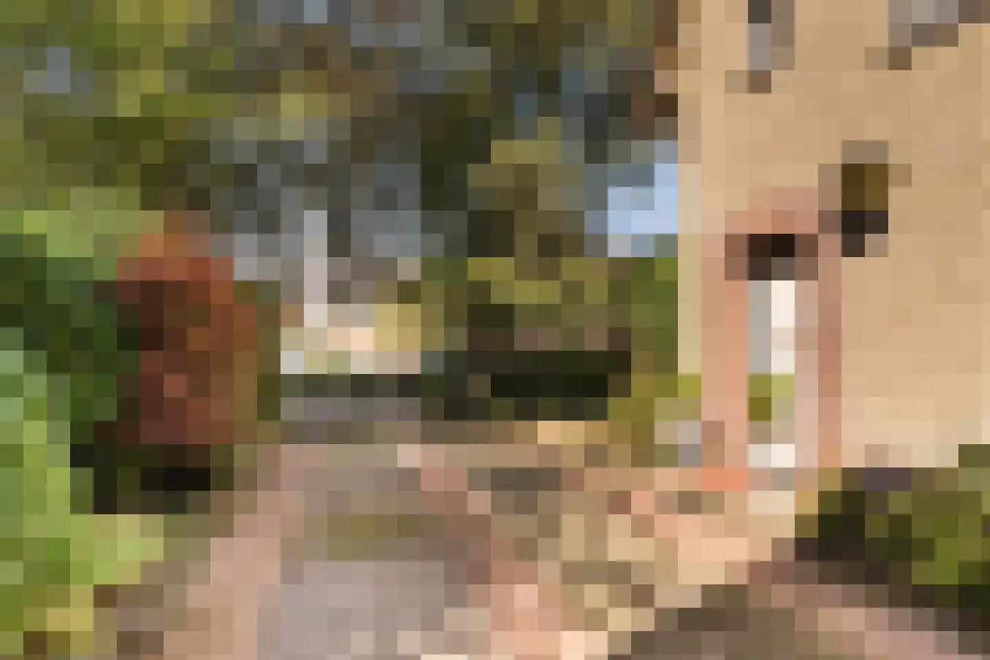 Rijnzichtweg 59 Oegstgeest thumbnail 10