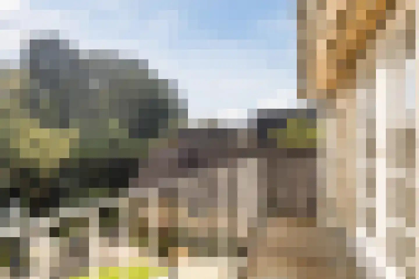 Rijnzichtweg 59 Oegstgeest thumbnail 34