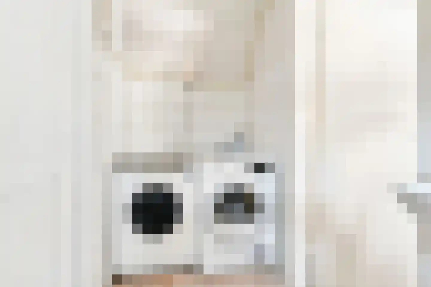 Rijnzichtweg 59 Oegstgeest thumbnail 36