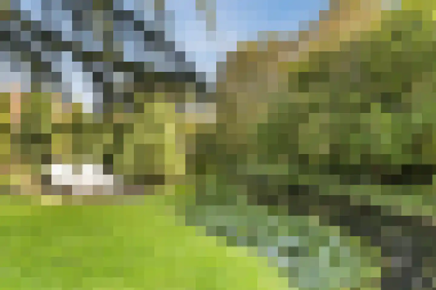 Rijnzichtweg 59 Oegstgeest thumbnail 43