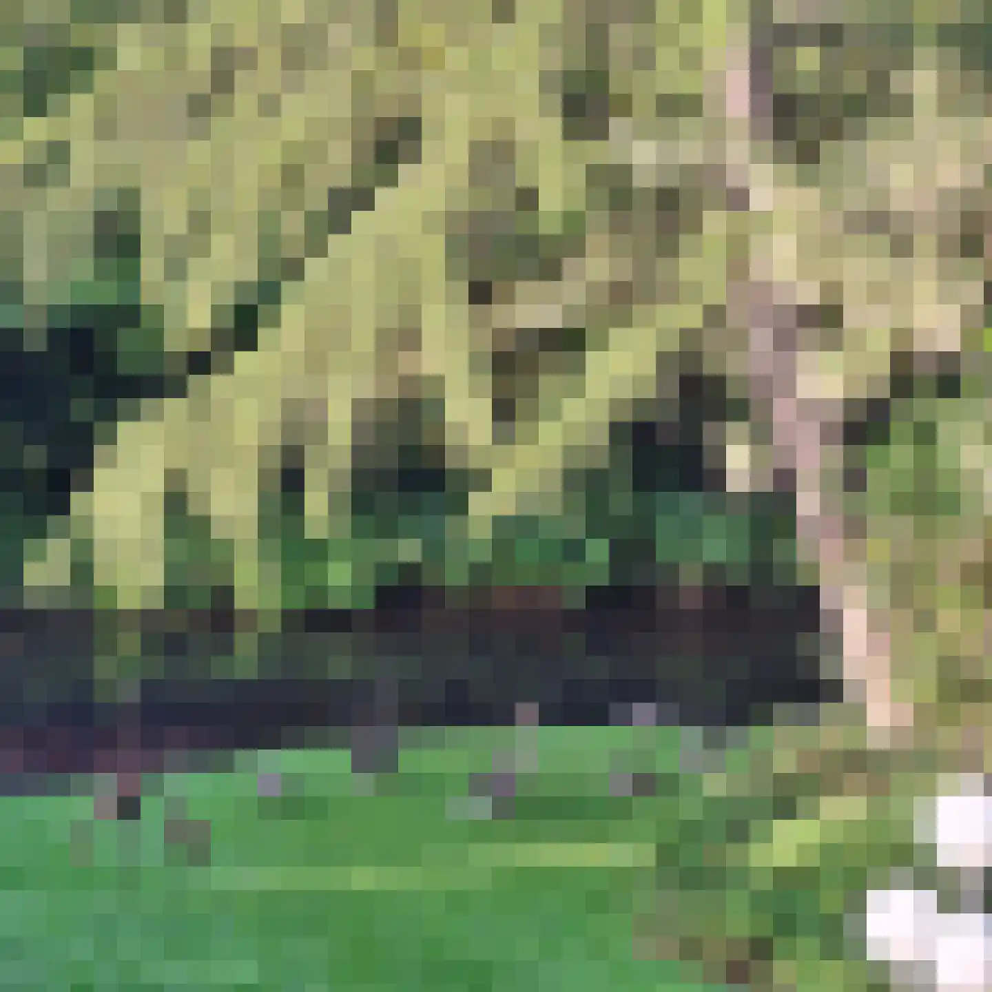 Rijnzichtweg 59 Oegstgeest thumbnail 47