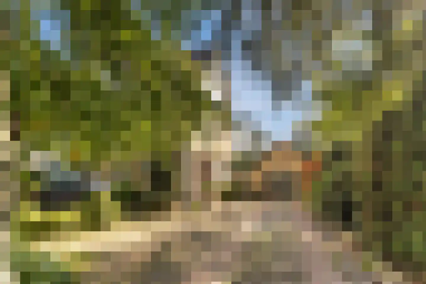 Rijnzichtweg 59 Oegstgeest thumbnail 6
