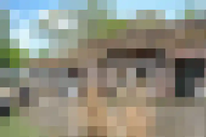 Rijpelbergseweg 1 Helmond thumbnail 12