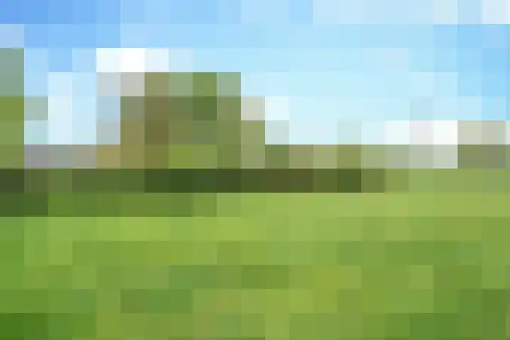Rijpelbergseweg 1 Helmond thumbnail 39
