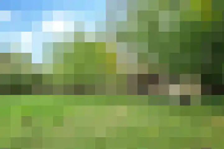 Rijpelbergseweg 1 Helmond thumbnail 40