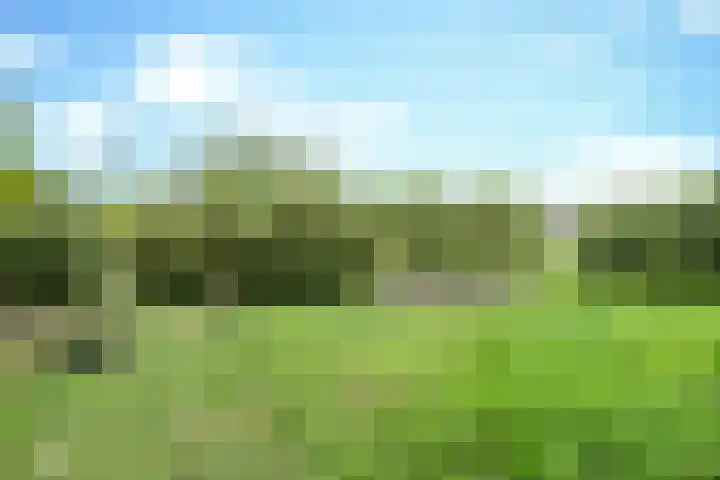 Rijpelbergseweg 1 Helmond thumbnail 41