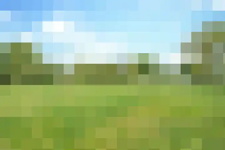 Rijpelbergseweg 1 Helmond thumbnail 42