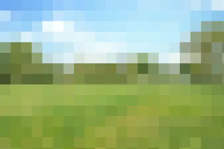 Rijpelbergseweg 1 Helmond thumbnail 6