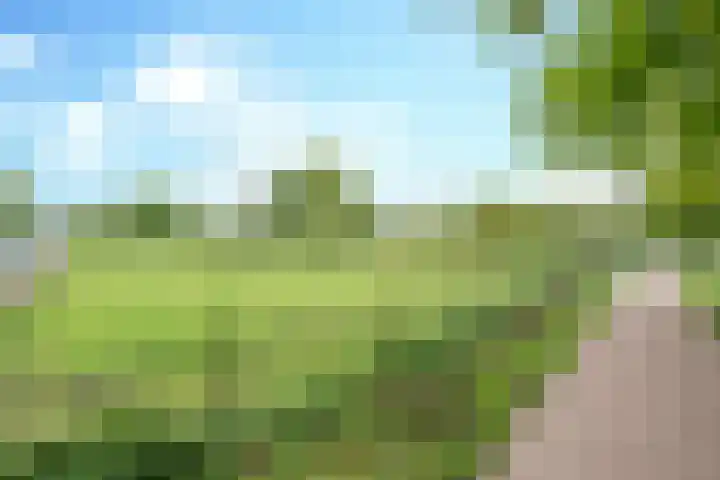 Rijpelbergseweg 1 Helmond thumbnail 8
