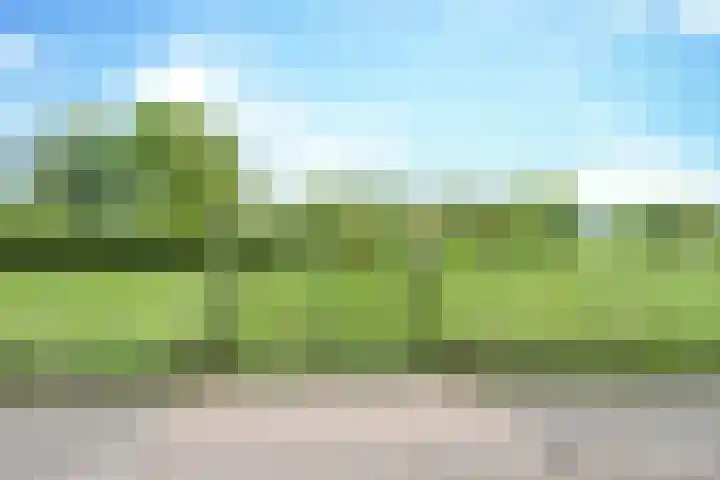 Rijpelbergseweg 1 Helmond thumbnail 9