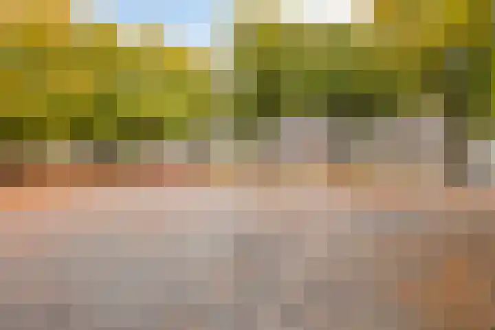 Rijpelplein 18 A Helmond thumbnail 30