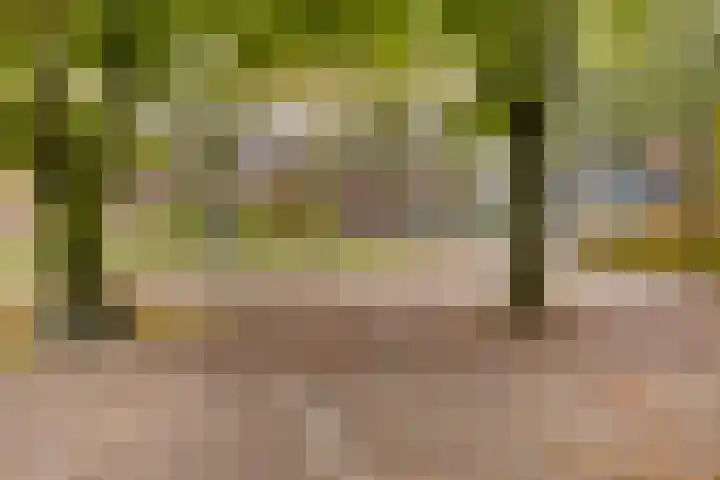 Rijpelplein 18 A Helmond thumbnail 31