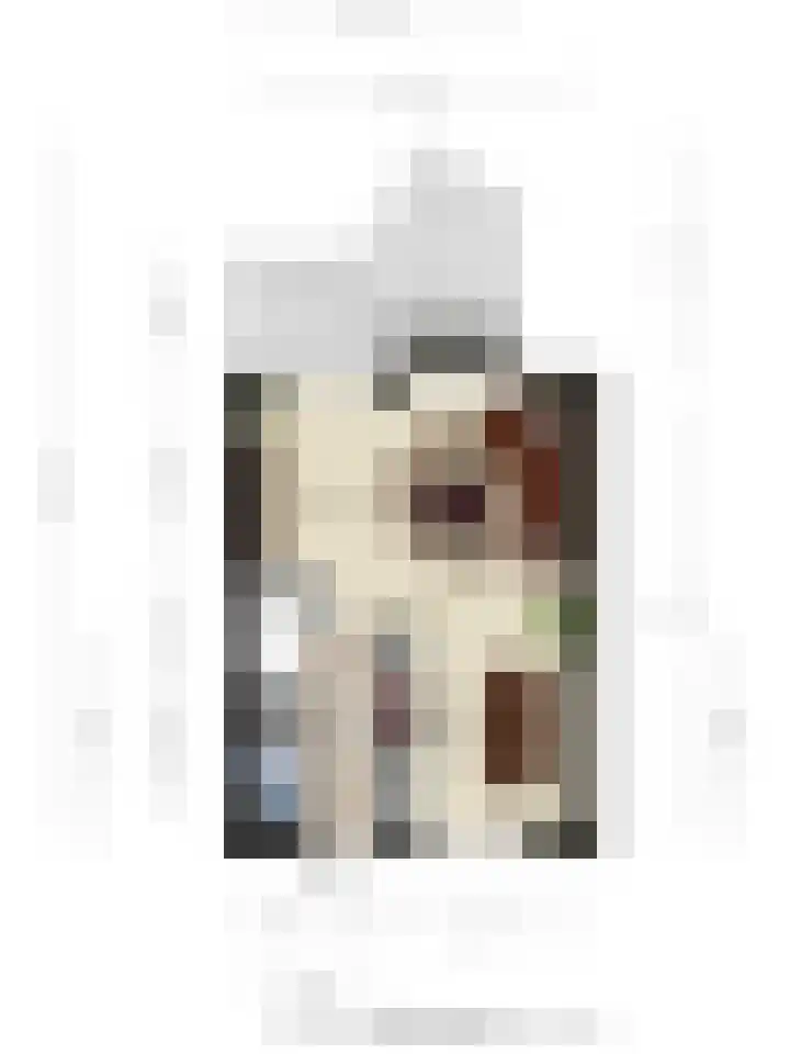 Rijpelplein 18 A Helmond thumbnail 32