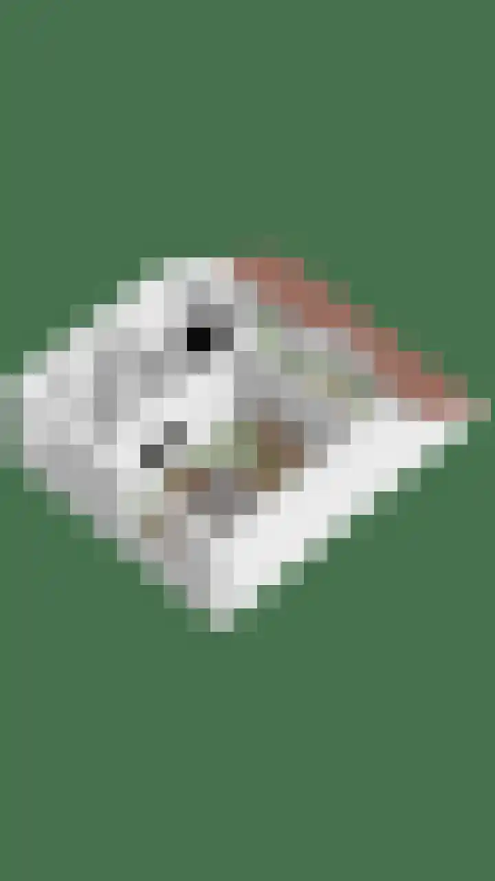 Rijpelplein 18 A Helmond thumbnail 37