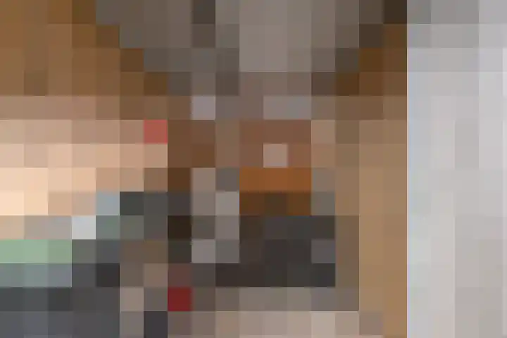 Rijpelplein 2 A Helmond thumbnail 18