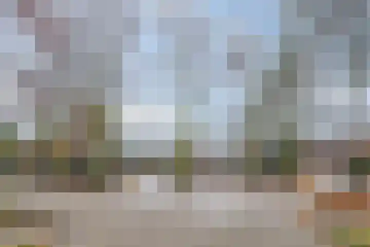 Rijpelplein 2 A Helmond thumbnail 21