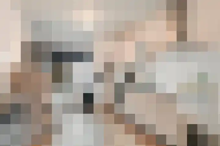 Rijpelplein 2 A Helmond thumbnail 8
