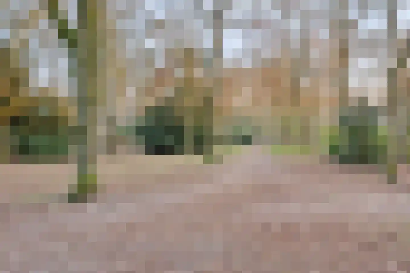 Rijpelplein 21 Helmond thumbnail 42