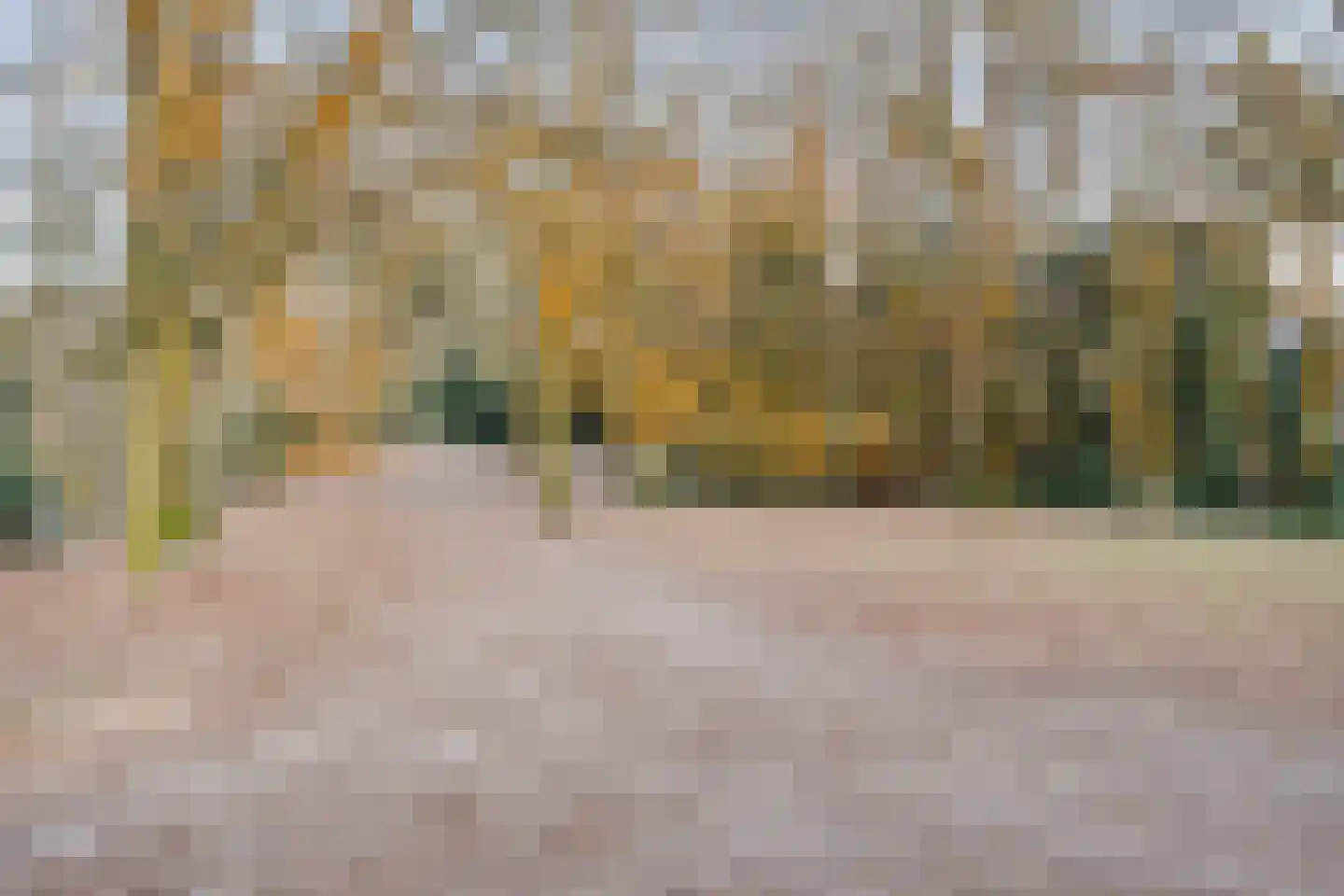 Rijpelplein 21 Helmond thumbnail 43