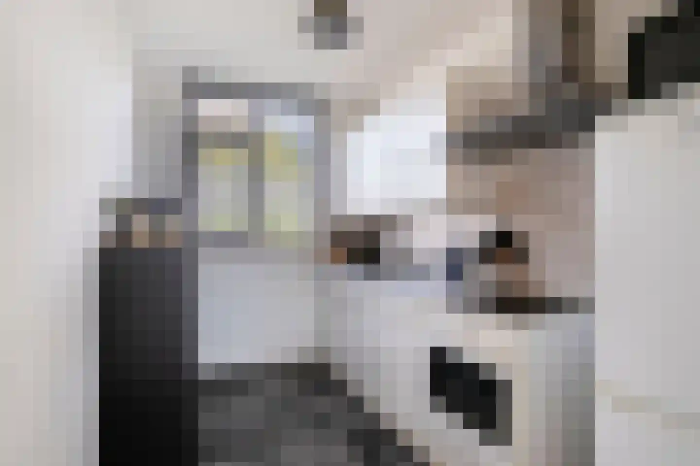 Rijpelplein 29 Helmond thumbnail 12