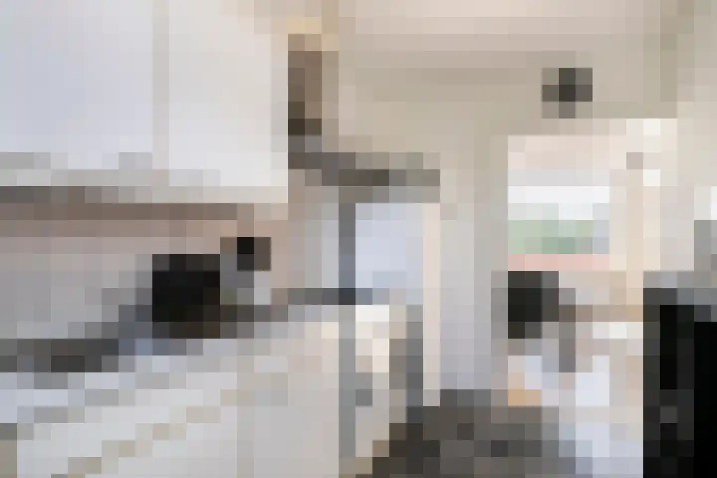 Rijpelplein 29 Helmond thumbnail 13