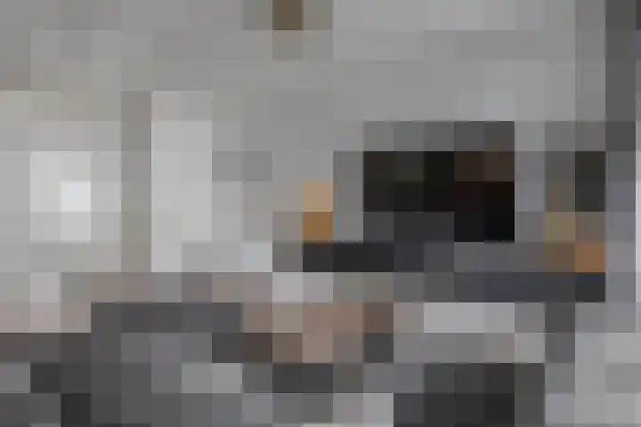 Rijpelplein 33 Helmond thumbnail 14