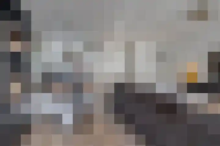Rijpelplein 33 Helmond thumbnail 15
