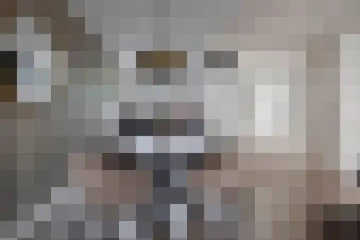 Rijpelplein 33 Helmond thumbnail 16