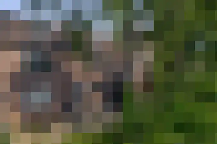 Rijpelplein 33 Helmond thumbnail 43