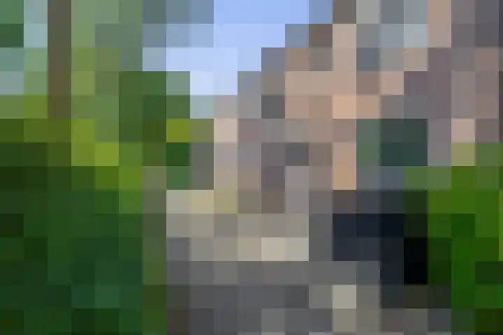 Rijpelplein 33 Helmond thumbnail 6