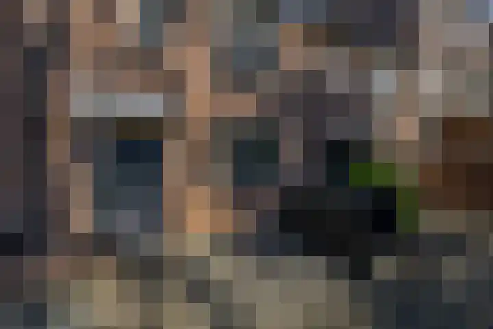 Rijpelplein 33 Helmond thumbnail 7
