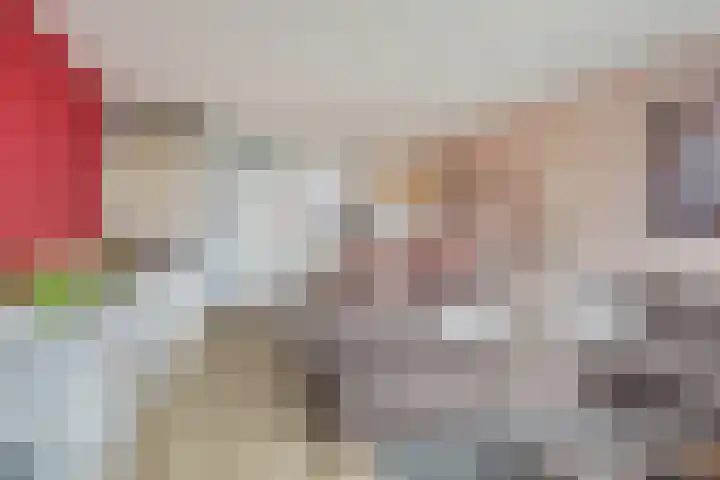Rijpelplein 8 Helmond thumbnail 18